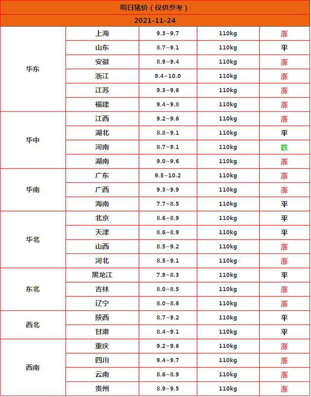 广东阳江最新猪价动态，行业观察与影响分析（11月4日）