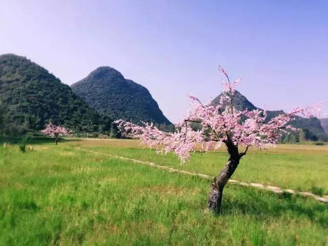 涪陵马鞍探秘，与自然共舞，心灵桃花源之旅